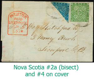 NS Bisect Cover